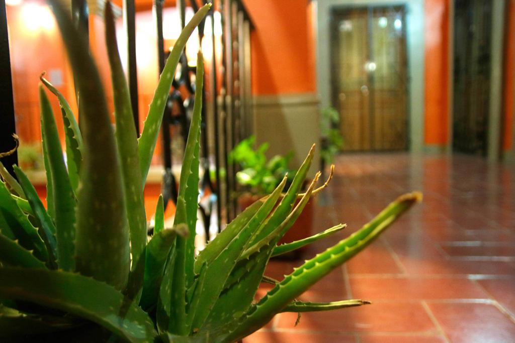 Parador San Fernando Oaxaca Buitenkant foto
